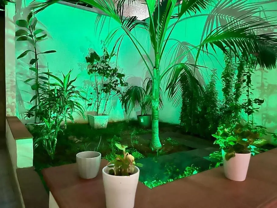 Appartement Casa Meravigghia Terrazzo ,Giardino E Jacuzzi Palermo